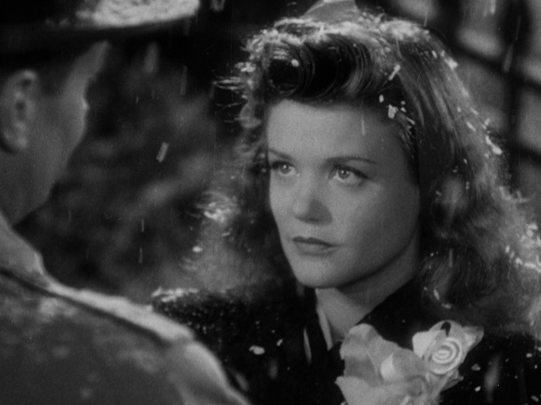 Katzenmenschen 04.webp